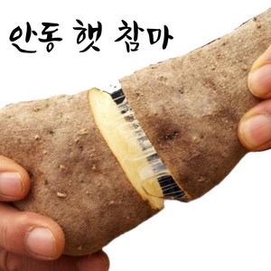 엄마네곳간 안동마 당일선별, 1박스, [산마] 못난이 3kg