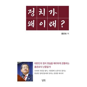 정치가 왜 이래?, 홍준표(저), 실크로드, 홍준표 저