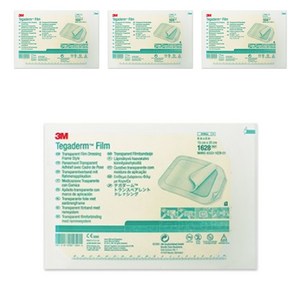 3M 테가덤 투명방수필름 1628 15*20cm 1매 x 4개, 1개입