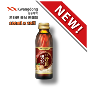 광동제약 생강쌍화, 120ml, 40개