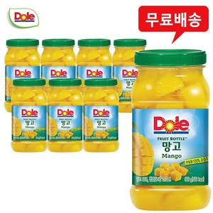Dole 돌 후룻바틀 망고 666gx8개(1box)/무배, 8개, 660g