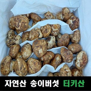 송이버섯 자연산 냉동 터키산, 4등급(20송이내외, 모양크기랜덤), 4등급 1kg, 1개