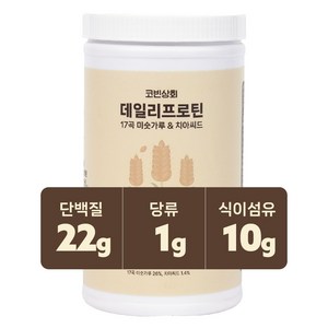 식사대용 단백질 쉐이크 데일리 프로틴, 17곡 미숫가루, 1개, 700g