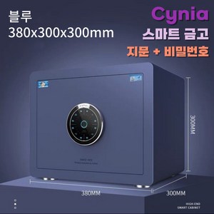 Cynia 예쁘고 튼튼한 가정용 금고 지문인식 비밀번호 소형부터 대형, 30cm, 블루