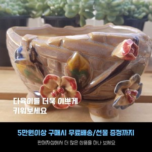 다육 다육화분 - 중대형 타원 꽃나무 도자기 화분(화분사이즈-높이 9cm 입구-15cm), 1개