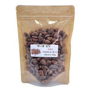 애니몰파크 애니몰 겉잣100g 앵무새간식 먹이 새사료 국산 피잣 대형앵무간식 먹이, 100g, 1개