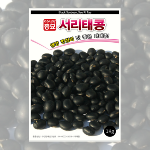 서리태콩 씨앗 1kg [25년포장] 속청콩종자, 1개