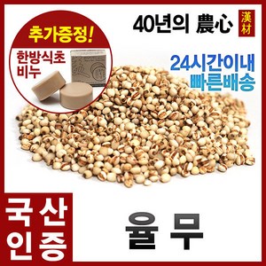 자애인 율무 2kg 율무쌀 국산율무 율무차, 단품, 1개