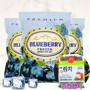 월드홀마켓 IQF 세척 냉동 블루베리 1kgx3봉_리치 1KG, 없음, 3개