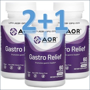 AOR 매스틱검 알긴산 아연 카르노신 생강 Gasto Relief 60 캡슐 약들약 고약사 / 해외직구 미국정품, 성인남녀공용, 3개, 60회분