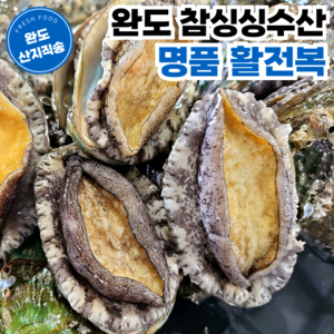 [완도참싱싱수산] 산지직송 당일채취 산소포장 명품 활 전복, 1개, 1kg (특대 10~12미)