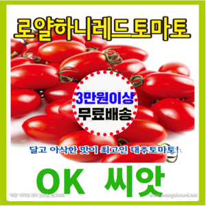 [OK씨앗] [로얄하니레드토마토] 토마토씨앗 종자(오케이씨앗), 1개