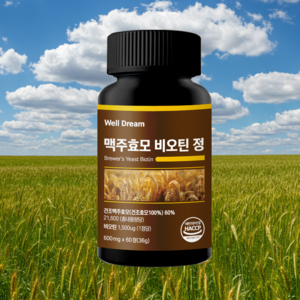 Well Deam 맥주효모 비오틴 정 비타민B군 600mg 60정, 1개