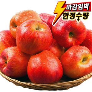 고당도 부사 사과 꿀사과 초특가, 1개, (혼합)_5kg 판매1등