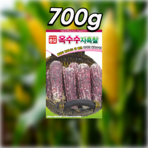 옥수수종자씨앗) 자흑찰옥수수(700g) S2581, 1개