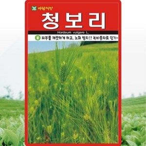 아람종묘 청보리 씨앗 20g 청맥 풋보리 씨 녹비 사료 작물 종자, 1개