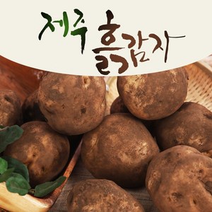 25년 타박타박 제주 구좌 햇 감자, 1박스, 5kg(특)