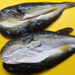 국내산 손질복어1kg (밀복1~3미)지리탕용 쏘스 포함, 손질복어(밀복), 1개, 1~3미 1kg