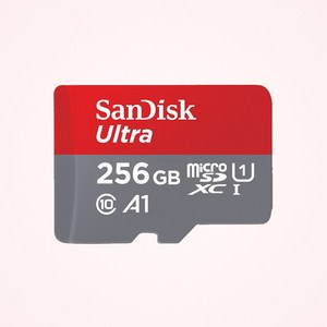 샌디스크 Ulta micoSDXC UHS-I (QUAC) 256GB, 1개