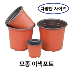 모종 화분 연질 이색포트 (10cm/15cm/18cm), 100개, 10화분