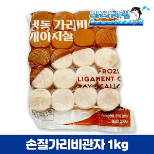 손질 가리비 관자 1kg 40미 냉동 개아지살, 1개