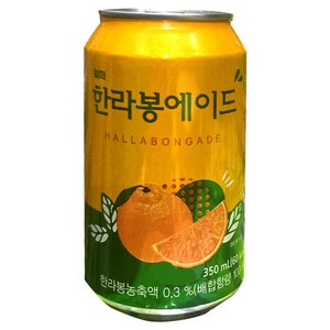 한라봉 일화 에이드, 350ml, 48개