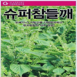 슈퍼참들깨 400g 24년 대포장 참깨씨앗 들깨씨앗, 1개