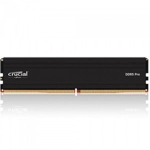 마이크론 Cucial DDR5-5600 CL46 PRO 아스크텍 (16GB), 1개