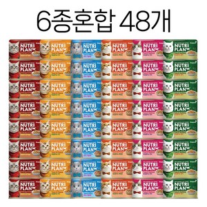 동원 뉴트리플랜 캣 습식캔 (6종 콤보)160g x 48개, 160g