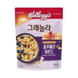 켈로그 블루베리 아몬드 그래놀라 시리얼, 450g, 1개