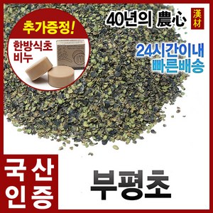 자애인 국산 부평초 300g 개구리밥 건조 경북영천, 1개