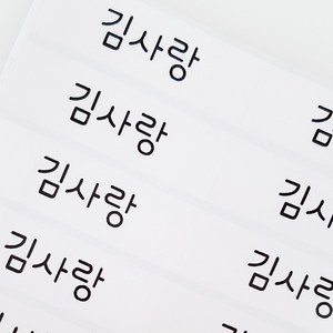 네임코코 대형 방수네임스티커, 300-대형투명 그림없음, 3매입