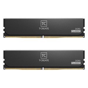 TeamGroup T-CREATE DDR5-5600 CL46 CLASSIC 패키지 서린 (64GB(32Gx2)), 2개