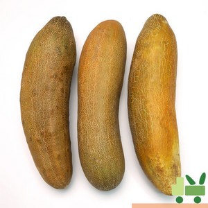 노각 (늙은오이) 2Kg (상), 1개