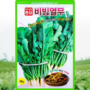 아시아종묘 비빔열무 씨앗 20g 생식용 열무씨 종자, 1개