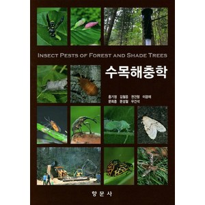 NSB9788971872574 새책-스테이책터 [수목해충학] -향문사-김철응-생물학-20190311 출간-판형 188x257(B5)-390쪽, 수목해충학