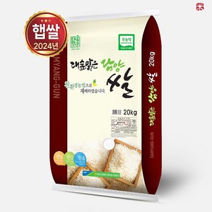 24년 햅쌀 담양군농협 무농약쌀 / 당일도정 (상등급) 단일품종 친환경쌀, 1개, 20kg