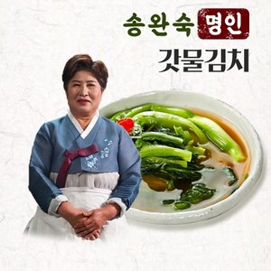 기타 [명인김치] 송완숙 명인김치 갓물김치 3kg 국내산 당일생산, 1개