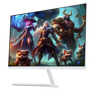 [비트엠] Newsync P27FHD165 IPS 게이밍 HDR 180UP 화이트