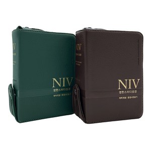 NIV 영한스터디성경 한영성경 특소 합본 새찬송가, 뉴그린