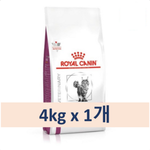 로얄캐닌 캣 가스트로 인테스티널 4 kg 위장질환처방식, 4kg, 1개