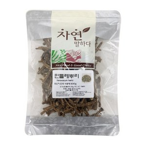 천일한약방 국내산 민들레뿌리 포공영 뿌리 흰민들레뿌리, 300g, 1개