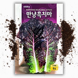 만냥 흑치마 상추씨앗(8g), 1개