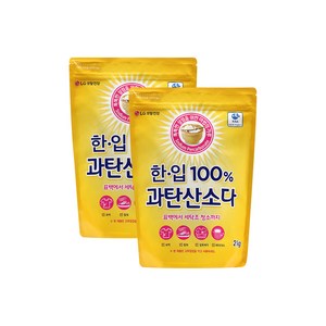 한입 100% 과탄산소다 리필형, 2kg, 2개