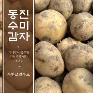 [부안로컬] 25년 수확 동진 수미 햇감자, 3kg 특, 1박스