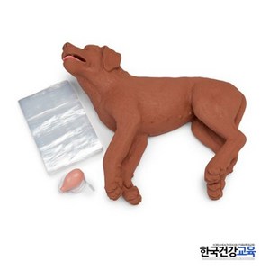 강아지 심폐소생술 마네킹 DOG CPR 모형