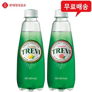 트레비 300mLx40병(레몬20+자몽20)/탄산수/2box무배, 40개, 300ml