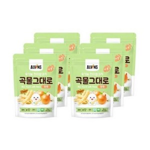 엘빈즈 유아용 유기농 곡물 그대로 현미 쌀과자 STEP1 25g, 양파맛, 6개