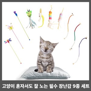 펫벨리 고양이 우울증 치료 장난감, 1개, A