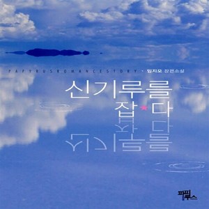 파피루스(디앤씨미디어) 새책-스테이책터 [신기루를 잡다]---파피루스(디앤씨미디어)-임지오 지음-한국 로맨스소설-20130628 출간-판형 13, 신기루를 잡다, NSB9788926761557